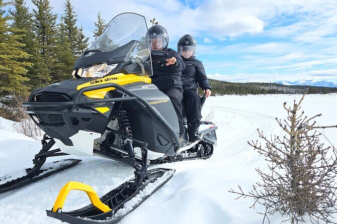 Arctic Snowmobiling Half Day Tour - Price and value
