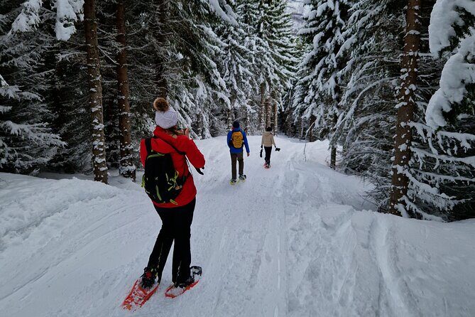 Arctic Snowshoe Hike in Norway - Value for the Price