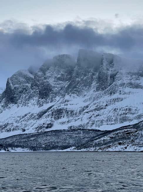 Arctic Whale Watching: Tromsø to Skjervøy in Comfort - Duration and Overall Value