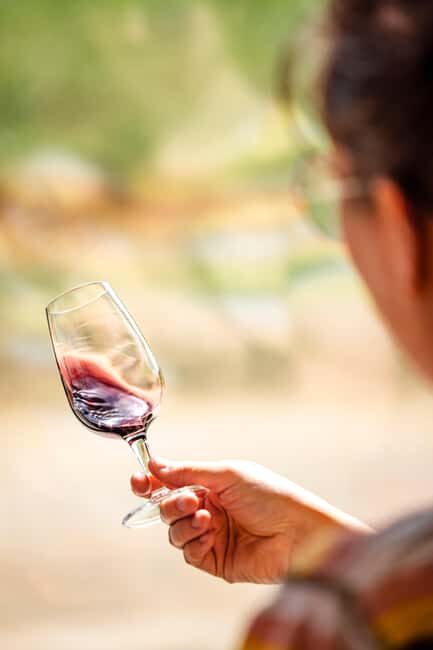 Ardèche: guided tour of our wine estate with tasting - Key Points