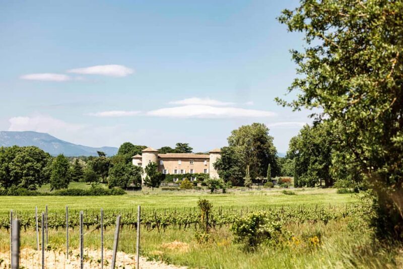 Ardèche: guided tour of our wine estate with tasting - The Detailed Experience: What to Expect from the Ardèche Wine Estate Tour