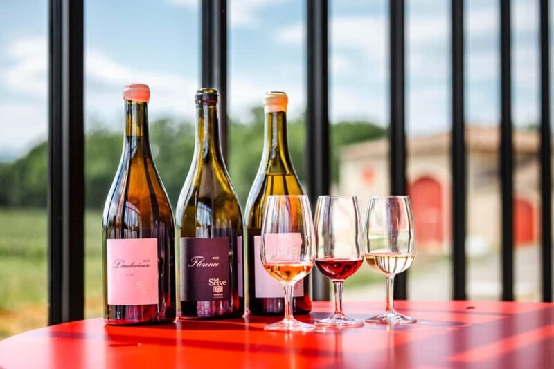 Ardèche: guided tour of our wine estate with tasting - Final Thoughts