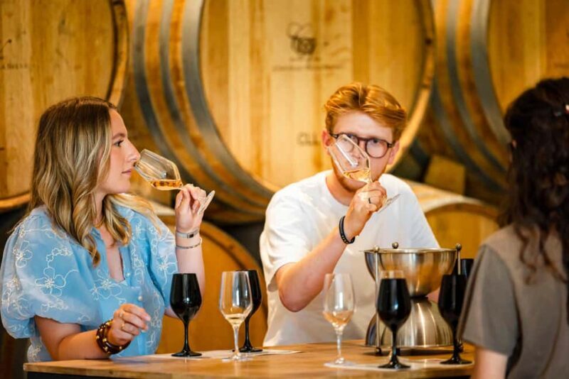 Ardèche: Introduction to Wine Tasting - Key Points