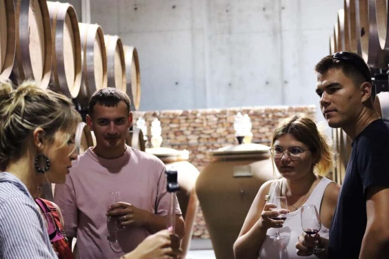 Ardèche: Wine workshop at Domaine les Amoureuses - Key Points