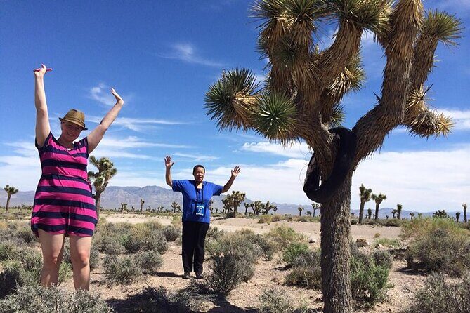 Area 51 Day Tour from Las Vegas with Alien and UFO Hotspots - What to Expect on the Tour