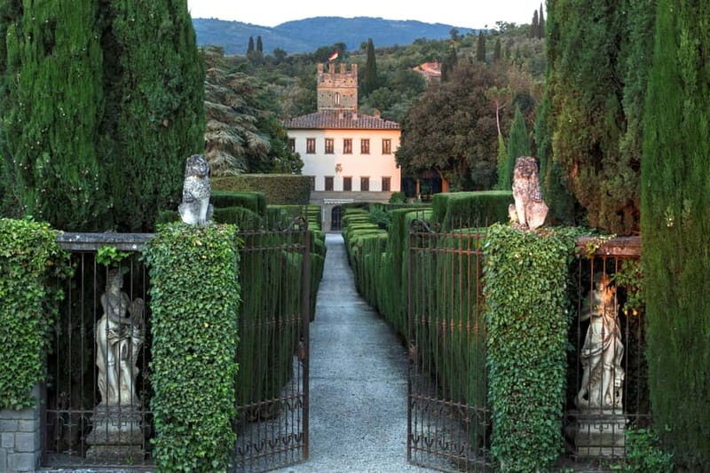 Arezzo Experience: Winery Tour and Wine Tasting - The Value for Money