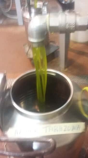 Arezzo: Guided sensory tasting of certified organic EVO oil - Frequently Asked Questions