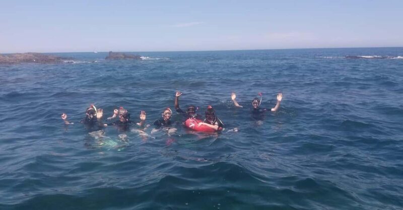 Argelès-sur-Mer: snorkeling into the Marine Natural Park - Key Points