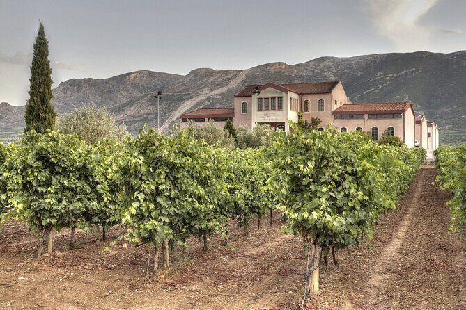 Argo Cultural Arts and Tastings Private Tour - FAQ