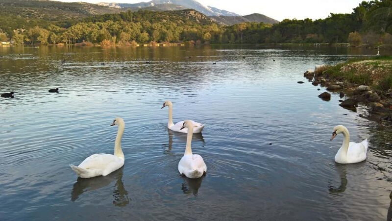 Argostoli and Beyond: A Journey through Villages - The Review from Travelers