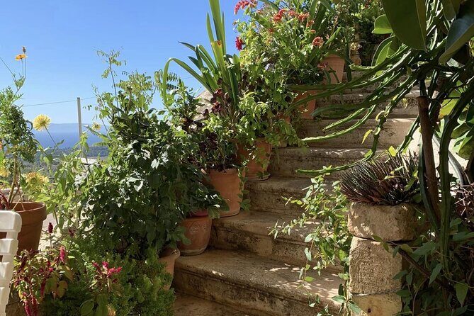 Argostoli and Beyond: A Journey through Villages - Final Thoughts