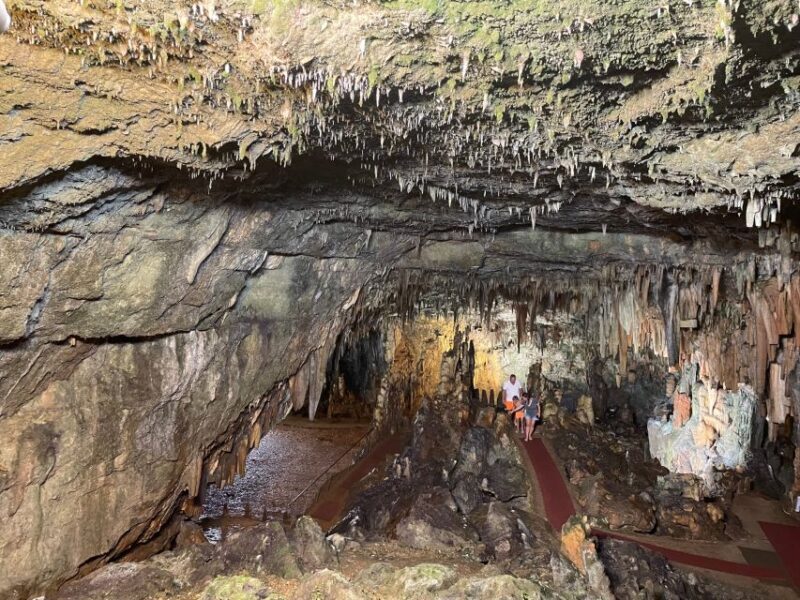 Argostoli: Melissani Lake, Drogarati Cave, and Myrtos Beach - Who Is This Tour Best For?