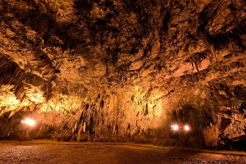 Argostoli: Shore Excursion to Caves with Local Wine Tasting - What Do Travelers Say?