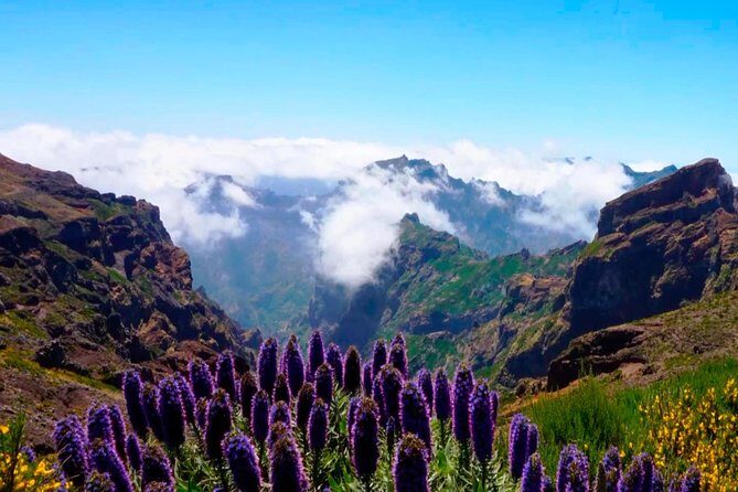 Arieiro Peak, Santo da Serra and Cristo Rei 4x4 Experience - Final Thoughts