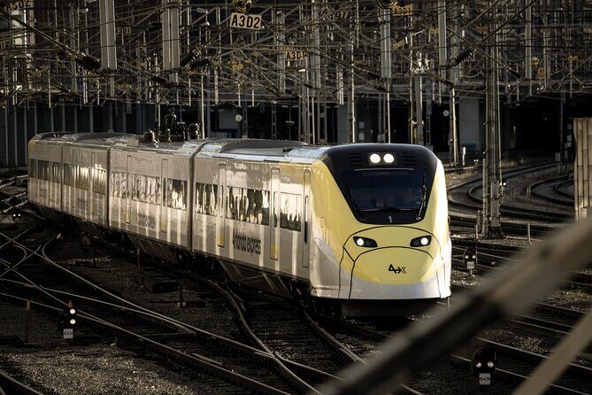 Arlanda Express Train Airport and Stockholm City Transfer - The Experience: What to Expect During Your Ride
