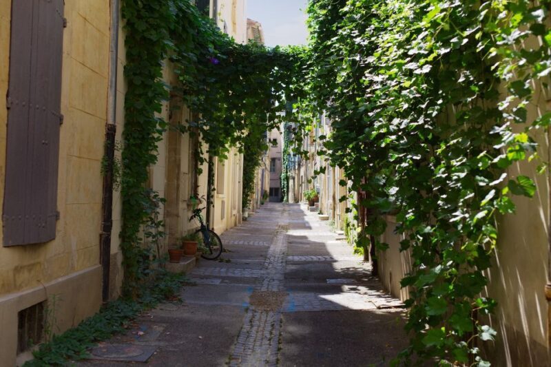 Arles: Private Guide Tour - Explore History & Culture - A Closer Look at the Tour Experience