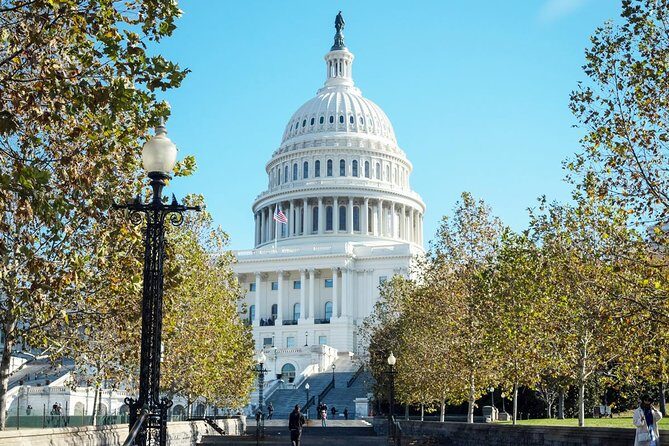 Arlington Cemetery and DC Highlights Tour - An Honest Breakdown of the Tour