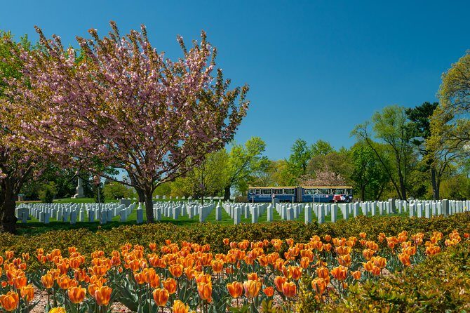 Arlington National Cemetery Hop-On Hop-Off Tour - The Price and Its Value