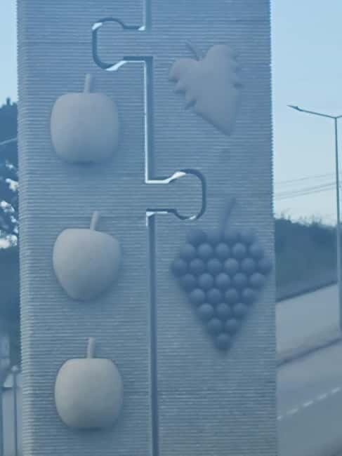 Armamar: Apple Orchard Tour with Lunch and Tastings - Key Points