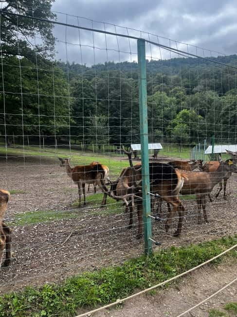 Armenia: Private Tour to Dilijan & Lake Sevan - What to Expect from This Tour