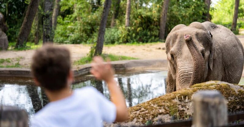 Arnhem: Burgers' Zoo Entry Ticket - What the Reviews Say