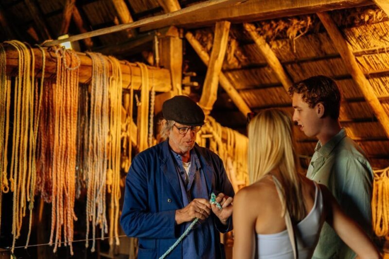 Arnhem: Dutch Open Air Museum Entry Ticket - What is the Dutch Open Air Museum?