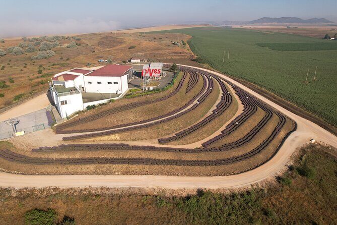 Aroma sampling of 5 Bulgarian Lavender varieties at DiVes Winery - What to Expect from the Tour