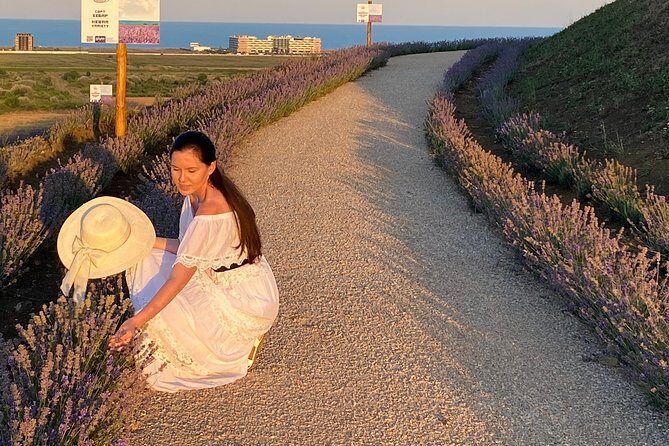 Aroma sampling of 5 Bulgarian Lavender varieties at DiVes Winery - FAQs