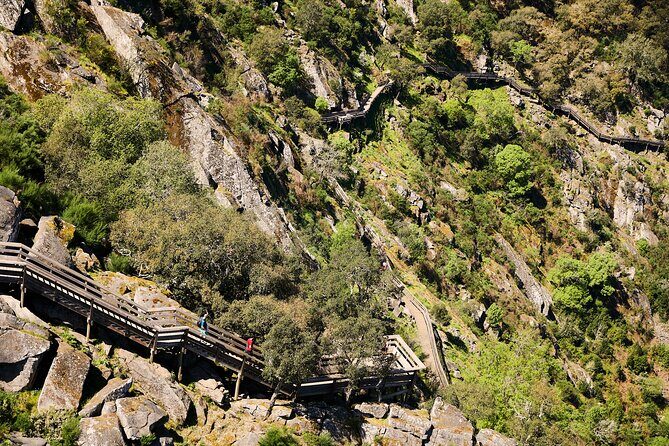 Arouca Suspension Bridge and Paiva Walkway Day Tour from Porto - A Complete Breakdown of the Tour