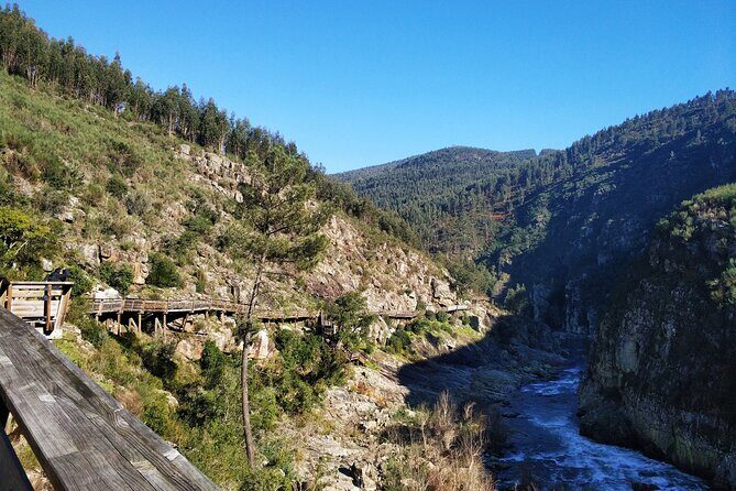 516 Arouca Bridge & Paiva Walkways Tour with Lunch from Porto - Who This Tour Is Perfect For