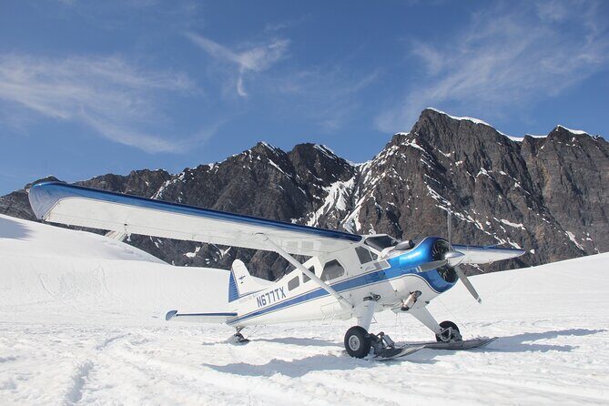 Around The Mountain Flightseeing Tour from Talkeetna - Who Will Love This Tour?