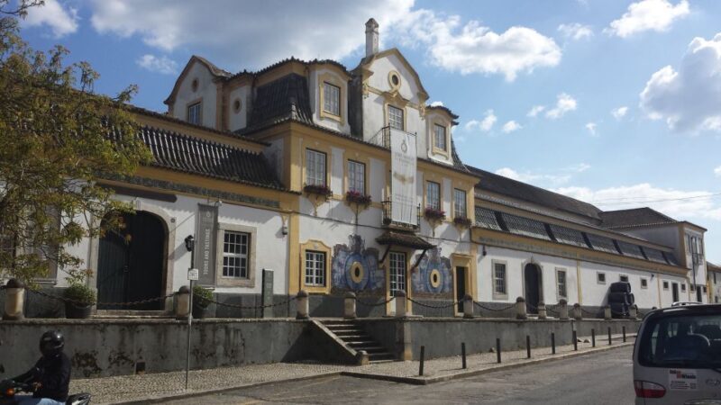 Arrábida: Full-Day Private Tour with Wine Tasting - Exploring the Natural Beauty: Beaches and Cliffs