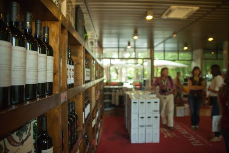 Arrábida: Full-Day Private Tour with Wine Tasting - Final Thoughts