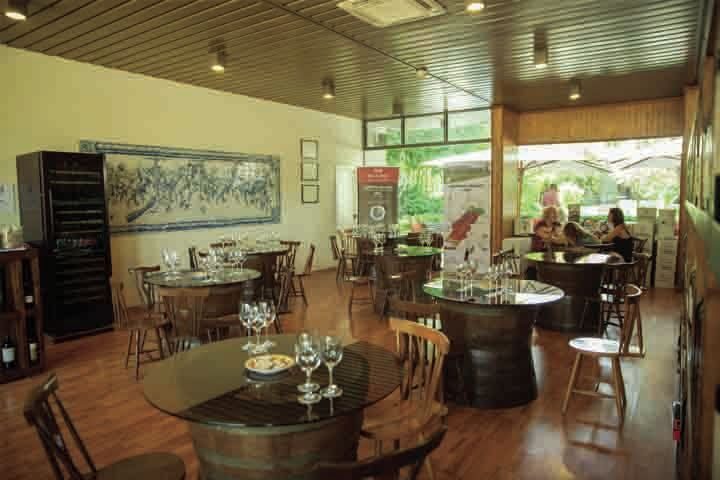 Arrábida: Full-Day Private Tour with Wine Tasting - FAQ