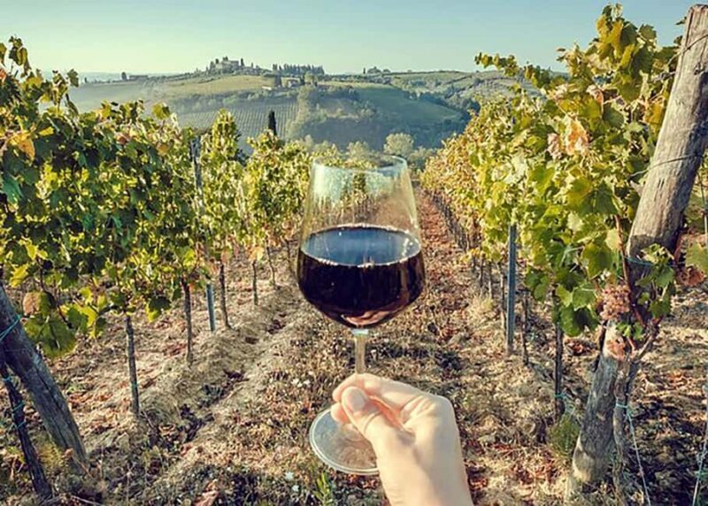 Arrábida: Jeep Tour with Wine Tasting and Tile Factory - Final Thoughts