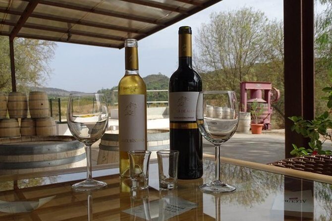 Arrábida Palmela Azeitão Private Tour - W/ Wine Tasting & Tapas - Introduction to the Experience