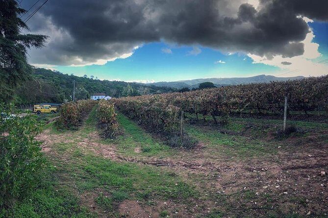 Arrábida Palmela Azeitão Private Tour - W/ Wine Tasting & Tapas - FAQs