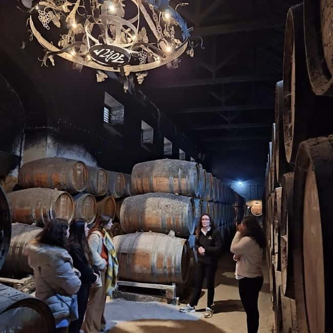 Arrábida - Sesimbra: Jeep Tour and Wine Tasting at Azeitão - Exploring the Itinerary: What You Can Expect