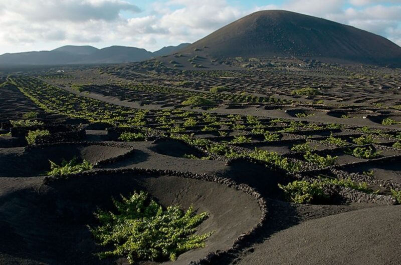 Arrecife/Playa Blanca: Timanfaya National Park Area Day Tour - FAQs