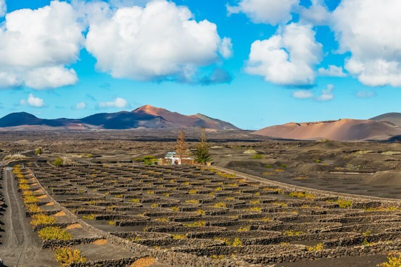 Arrecife: Timanfaya and Green Lagoon for Cruise Passengers - A Deep Dive into the Lanzarote Experience