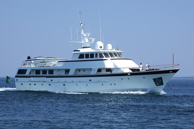 Arrival or Departure Private Transfer: Gatwick Airport to Southampton Cruise Port - The Experience of the Transfer: What to Expect