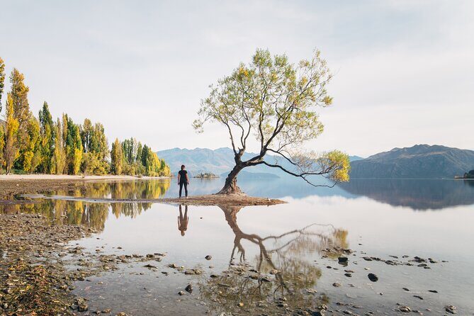 Arrowtown and Wanaka Highlights Tour from Queenstown - Key Points