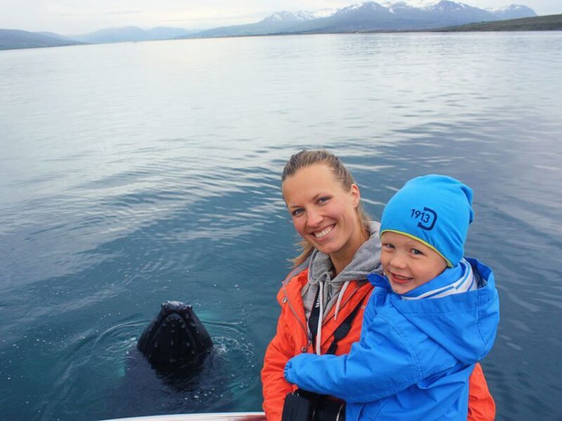 Árskógssandur: Whale-Watching Boat Trip - The Experience: What It’s Really Like