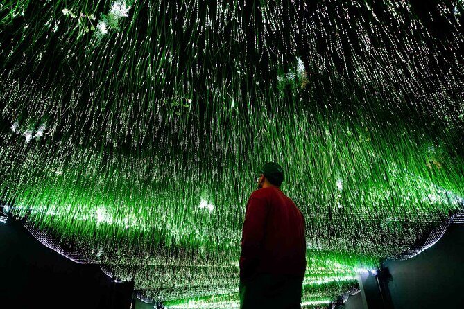 Art Club is an Immersive Museum of New Media Artworks at POST. - What to Expect at Art Club Houston