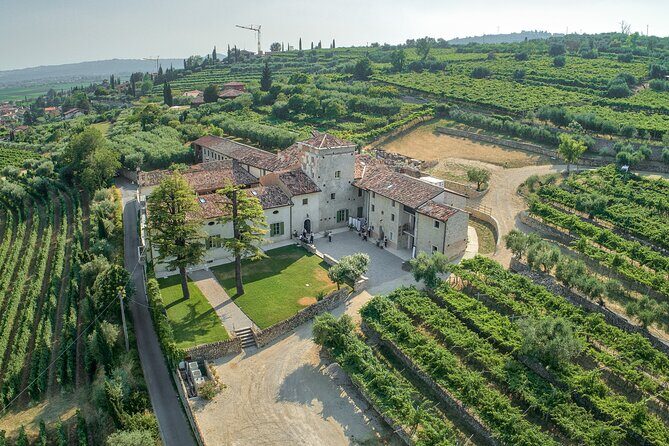Art & Wine Experience in Valpolicella at Palazzo Montanari - The Location and Setting: A Slice of Verona’s Countryside