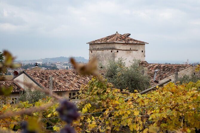 Art & Wine Experience in Valpolicella at Palazzo Montanari - What Do the Reviews Say?