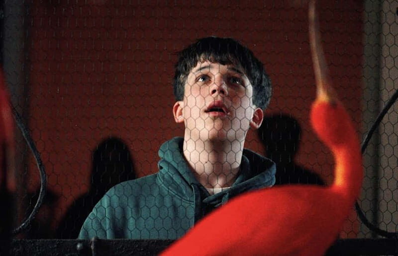 Art Zoo Museum: Art meets nature in a 17th-Century House - Who Should Visit?