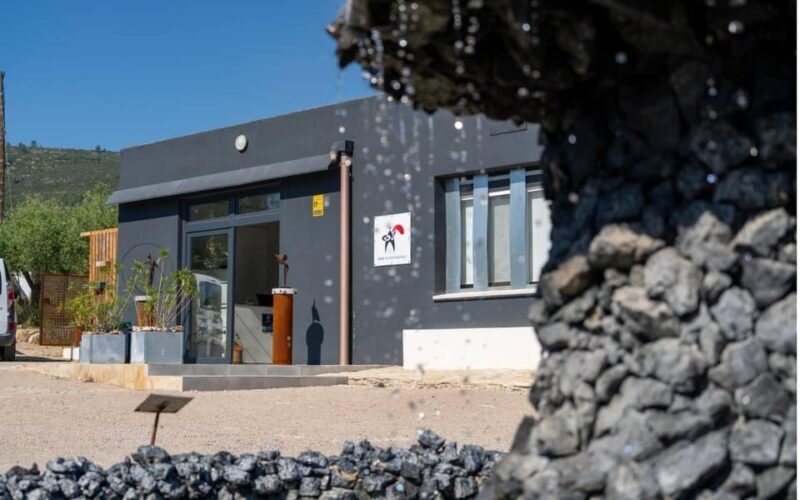 Arte-Contemporary: Sculpture Park and Art Gallery visit - Key Points