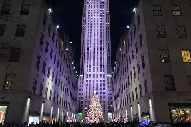 Artful Holiday Lights & Sights - An In-Depth Look at the Artful Holiday Lights & Sights Tour