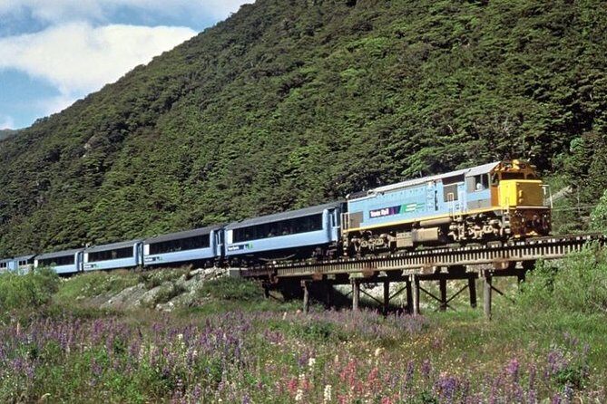 Arthur's Pass and TranzAlpine Train Day Tour from Christchurch - What to Expect on the Tour